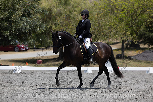 FFDressage23-00201