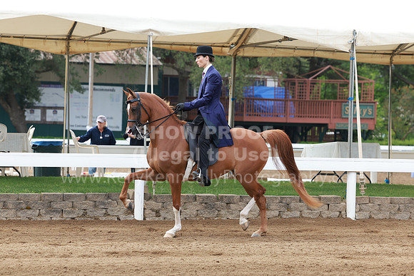 DAHA23_Sun_7412