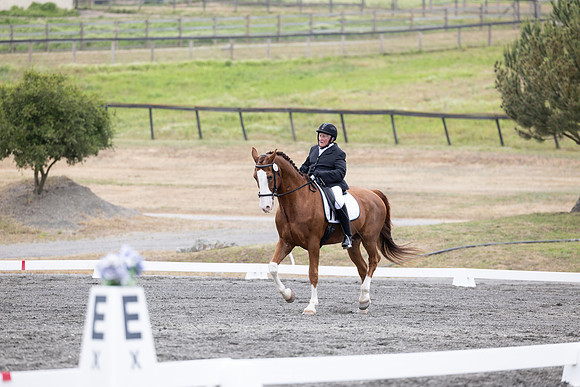 FFDressage23-2058
