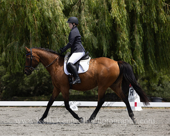 FFDressage23-00152