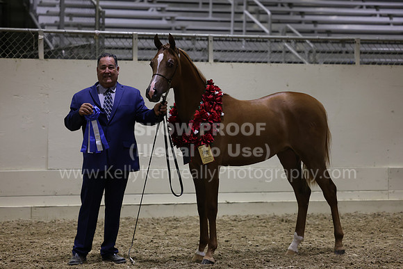 AHANC23_Wed_3199