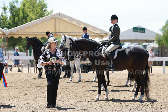 DAHA23_Sun_9503