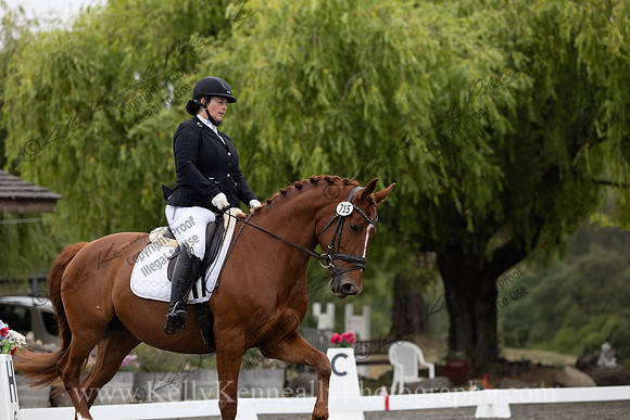 FFDressage23-1283