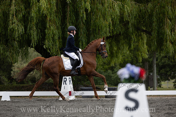 FFDressage23-0916