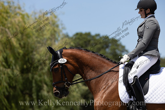 FFDressage23-4133