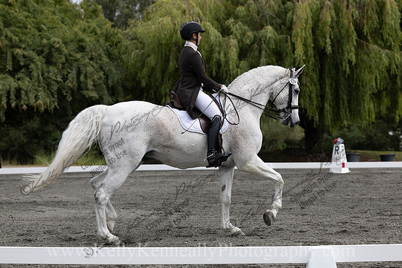 FFDressage23-00098