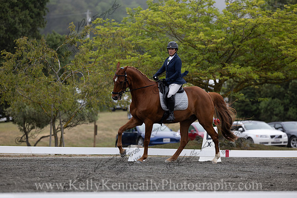 FFDressage23-1178