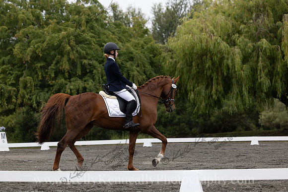 FFDressage23-0691