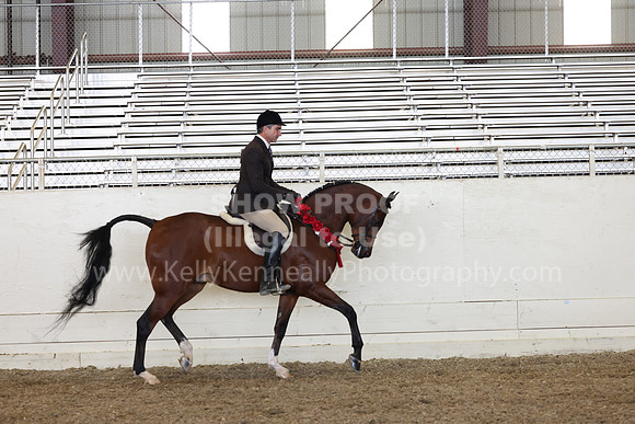 AHANC23_Thurs_2267