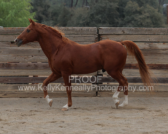 DocFall26_5418