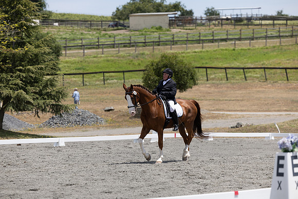FFDressage23-3030