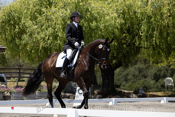 FFDressage23-00262
