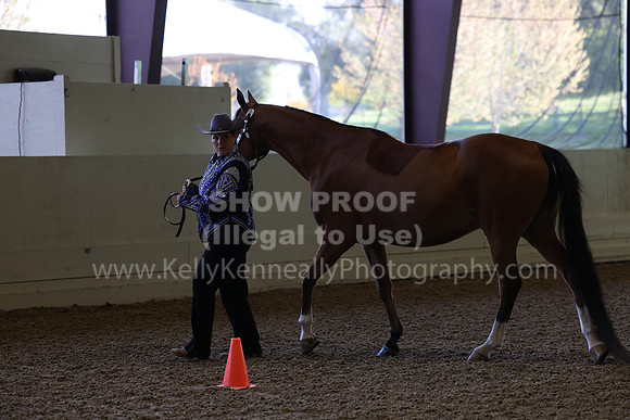 AHANC23_Wed_0029