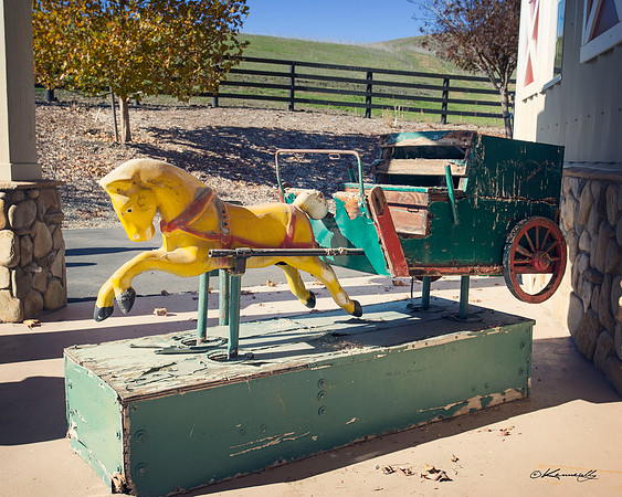 ShermanRanchCarGarage2015_1072