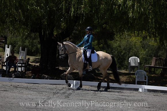 FFDressage23-00278
