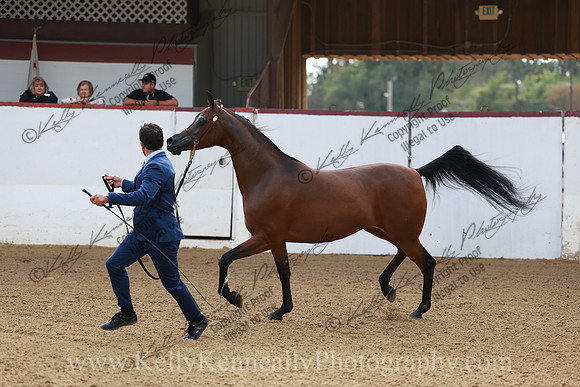 R2CH23_Fri_1014