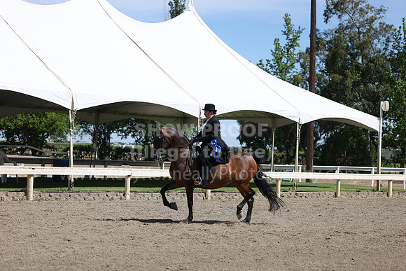 DAHA22_Thurs_0815