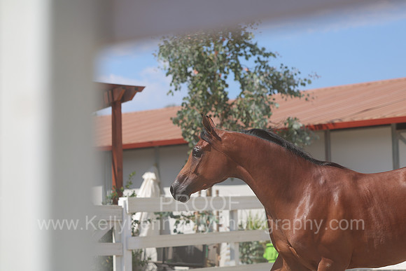 BeckerEvent26_3277