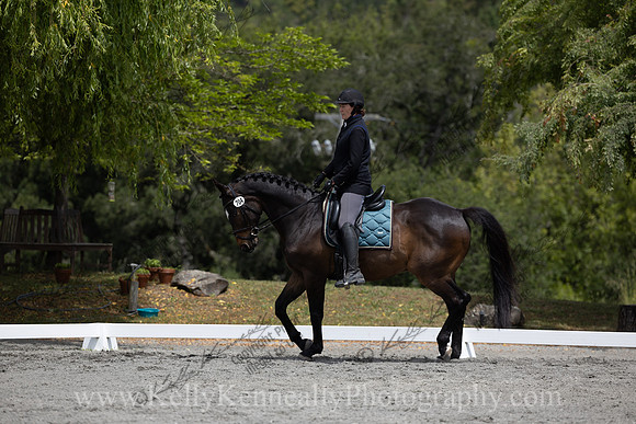 FFDressage23-2313