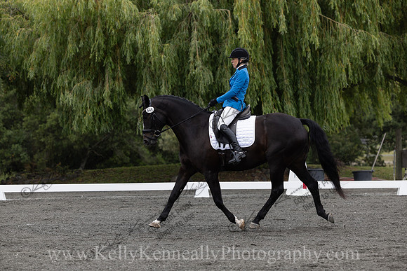 FFDressage23-00050