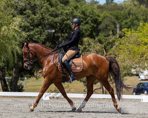 FFDressage23-4594