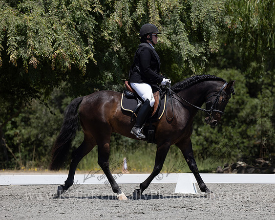 FFDressage23-00204