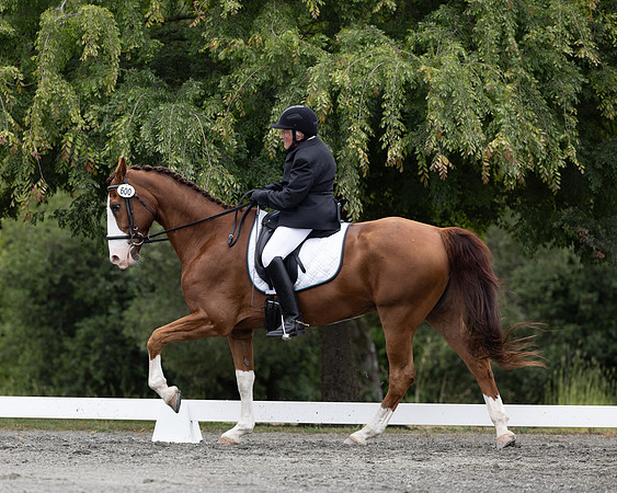 FFDressage23-1830