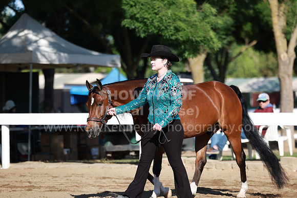 DAHA23_Sat_4019