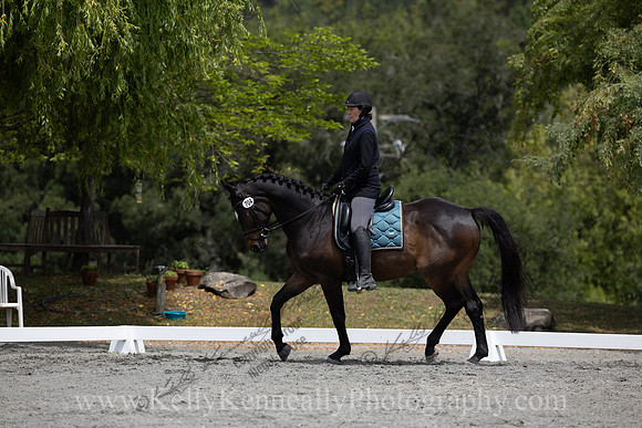 FFDressage23-2315