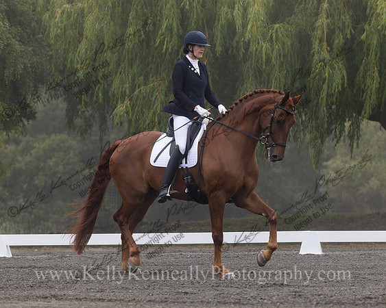FFDressage23-0091