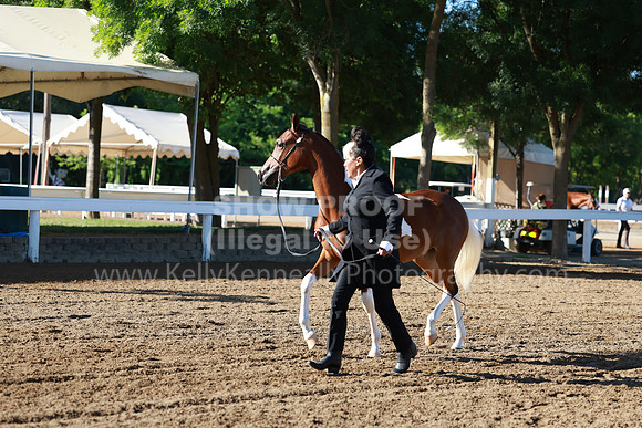DAHA23_Fri_0067