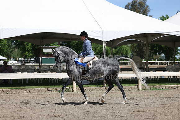 DAHA22_Thurs_0887