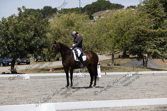 FFDressage23-5224