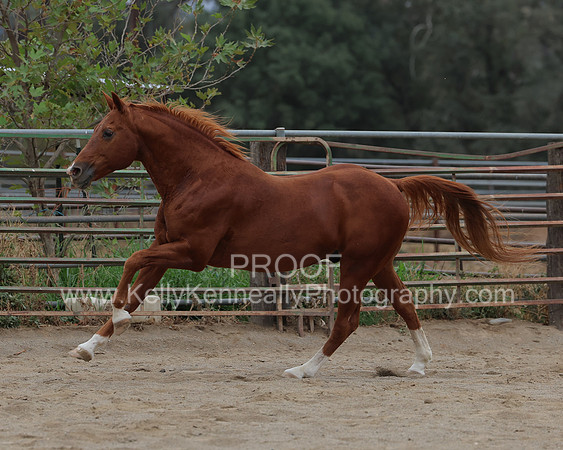 DocFall26_5705