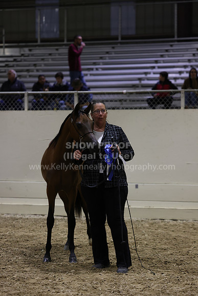 AHANC23_Wed_3024