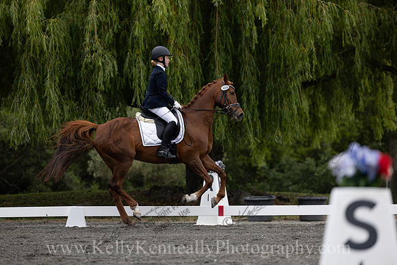 FFDressage23-0911