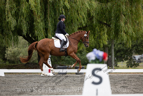 FFDressage23-1475