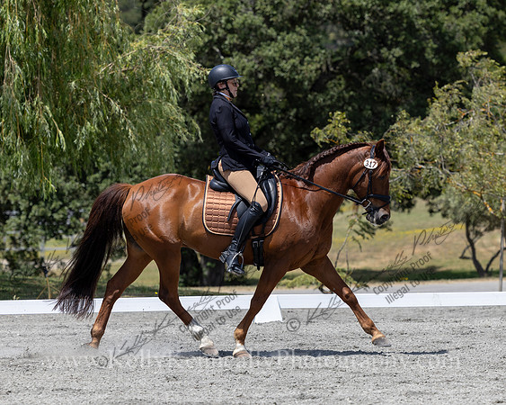 FFDressage23-4924