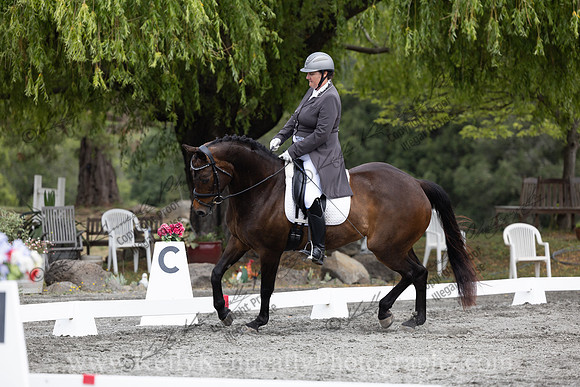 FFDressage23-00117