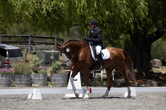 FFDressage23-3299