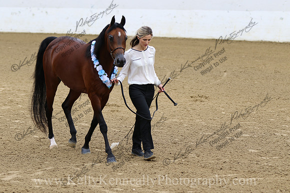 R2CH23_Thurs_Deb_0012