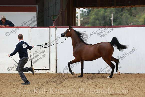 R2CH23_Thurs_0962