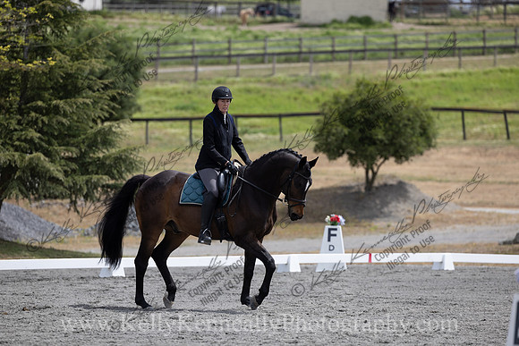 FFDressage23-2248
