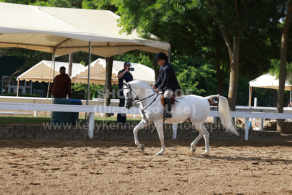 DAHA23_Sun_8017