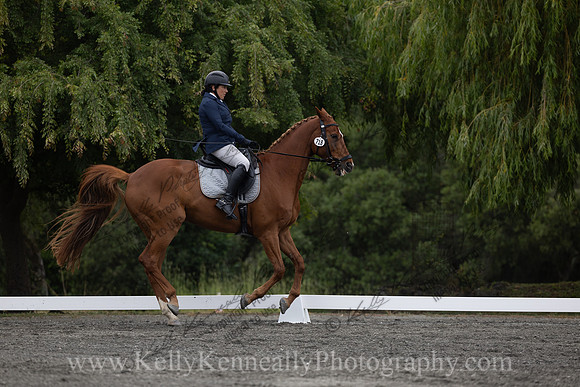 FFDressage23-1151