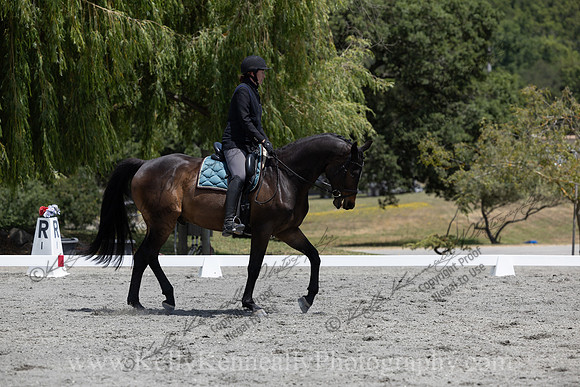 FFDressage23-2932