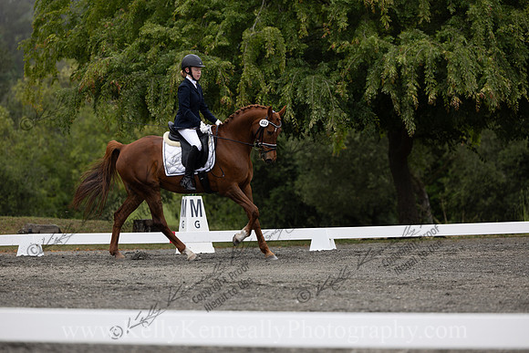 FFDressage23-0842