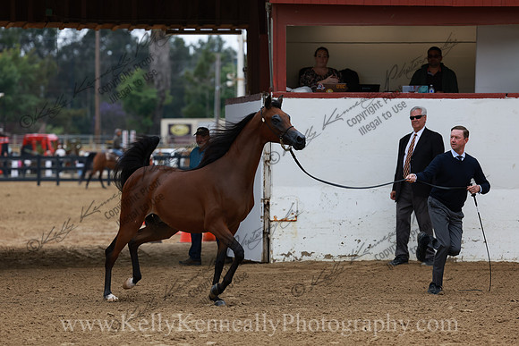 R2CH23_Thurs_0931