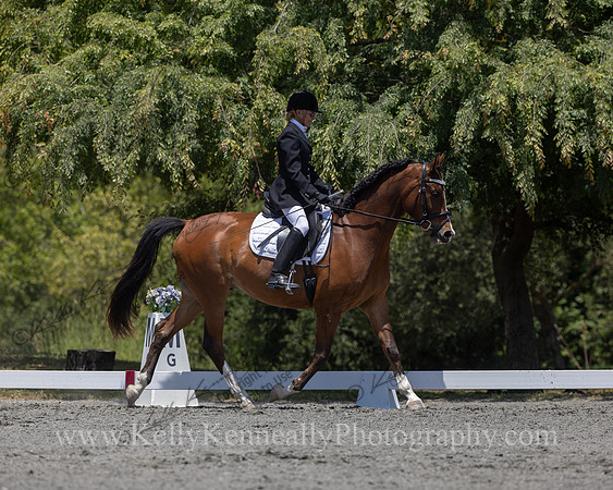 FFDressage23-00214