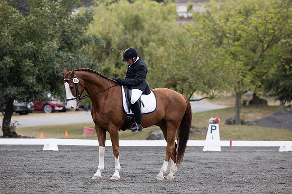 FFDressage23-00093